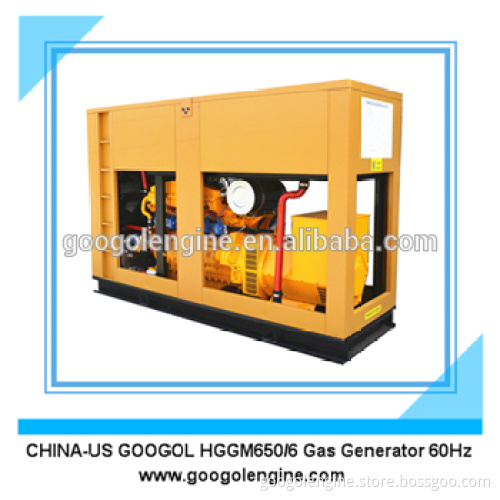 Googol Small 60Hz V8 Gas Generator